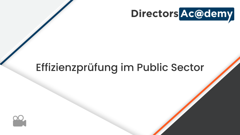 „Effizienzprüfung im Public Sector“